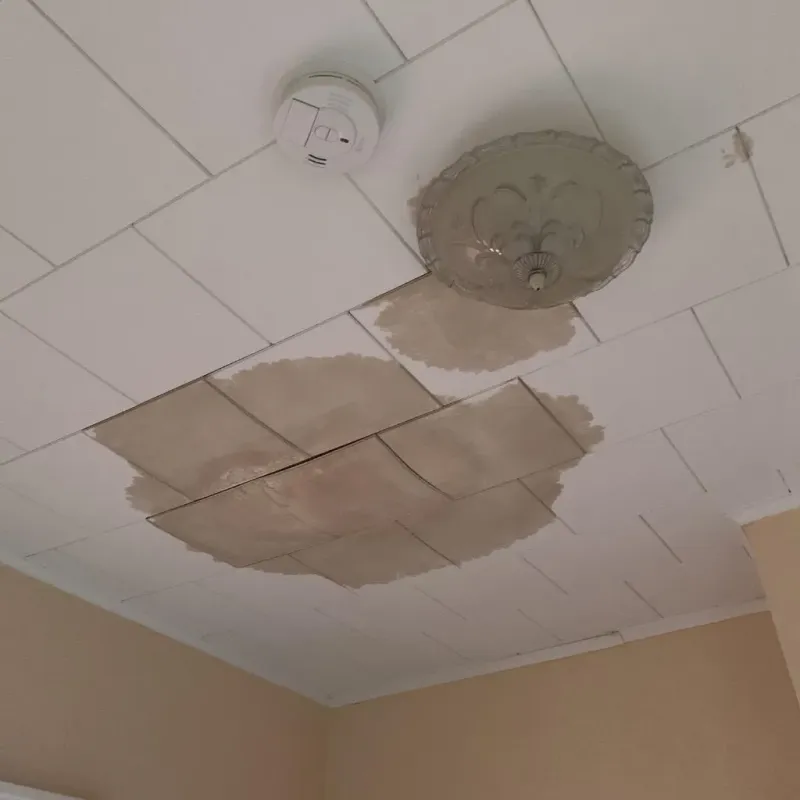 Ceiling Water Damage Repair in Verona Walk, FL